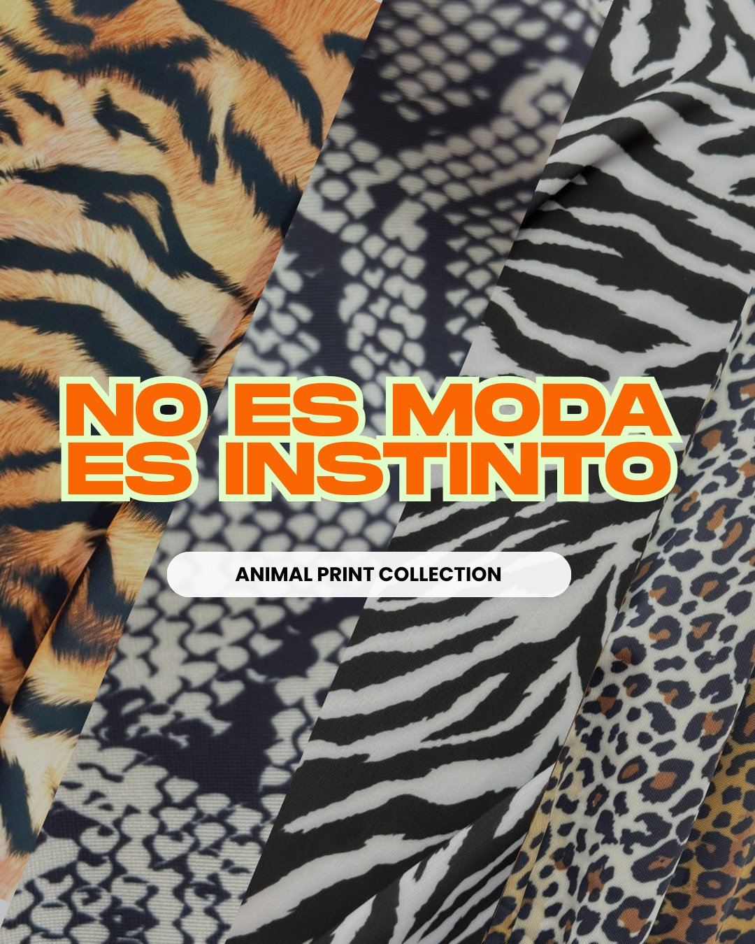 Animal Print